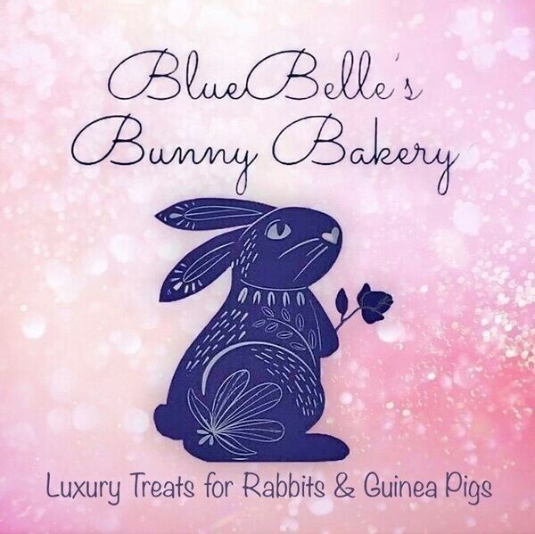 ❀ BlueBelle’s Bunny Bakery Ltd ❀