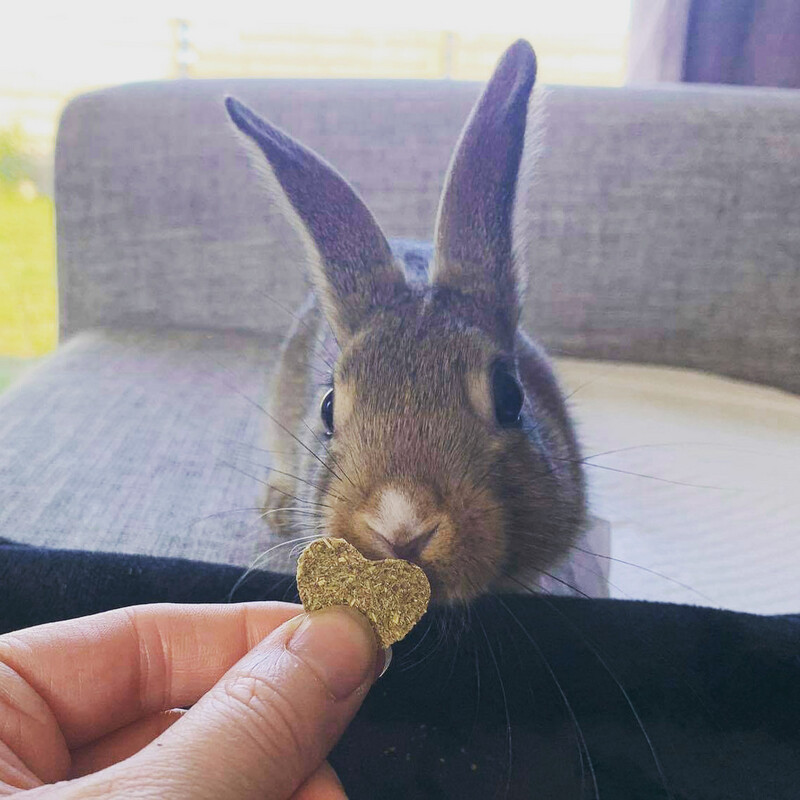 Healthy Wafers for Critical Care or a Nutritious Treat