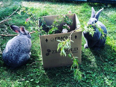 Botanicals​​, Forage &amp; Hay