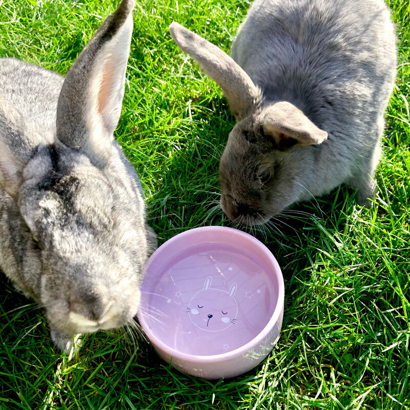 Trixie Ceramic Bunny Bowl