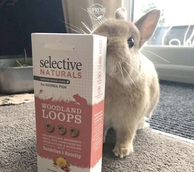 Treats