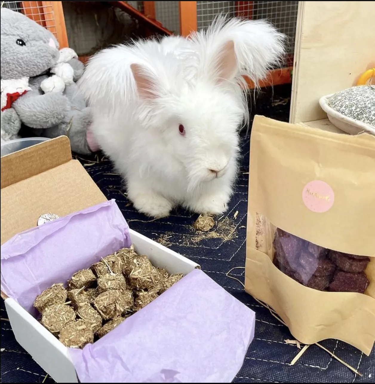 20 Timothy Cakes - Small