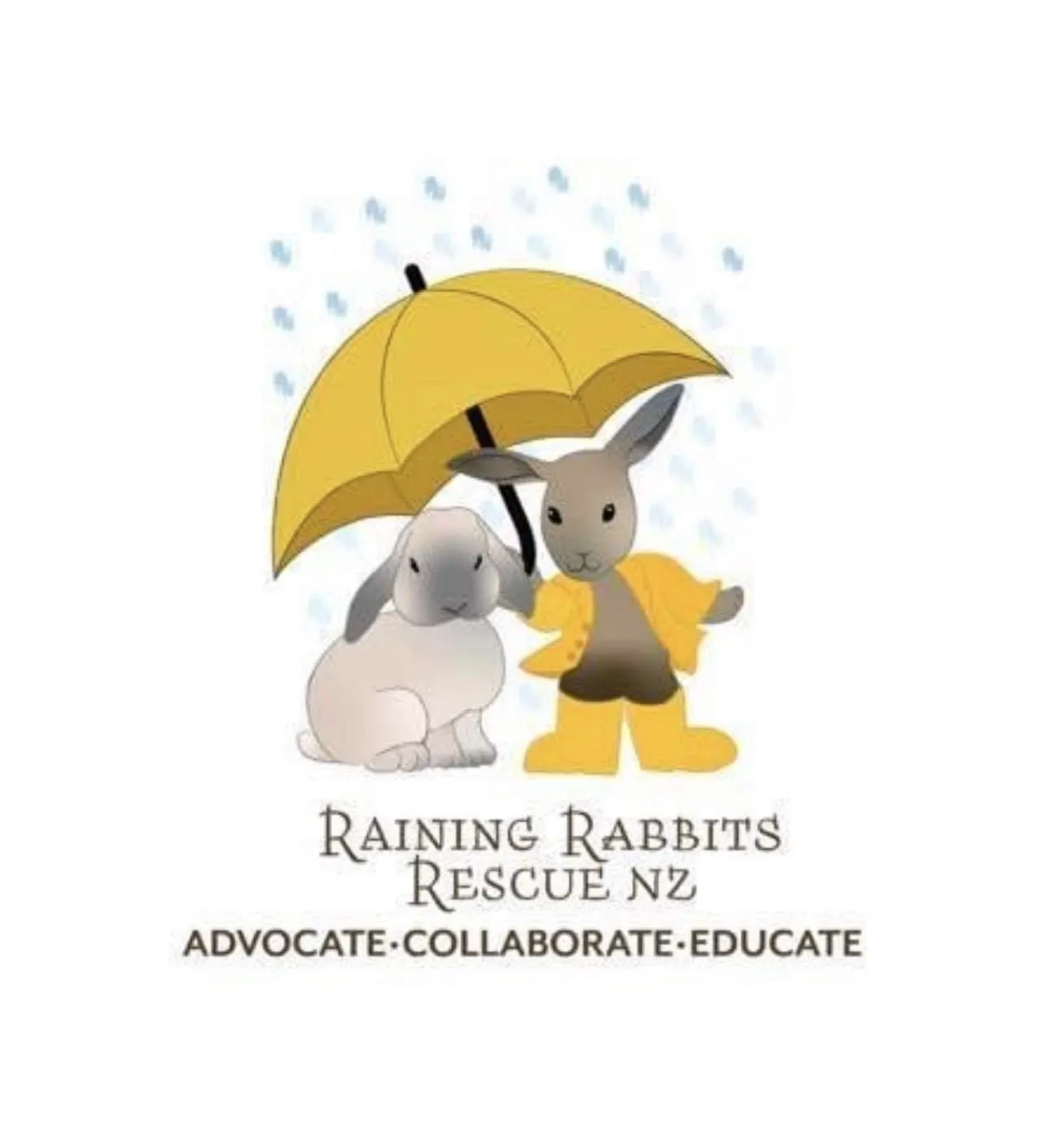 *Raining Rabbits Rescue 2026 Calendar