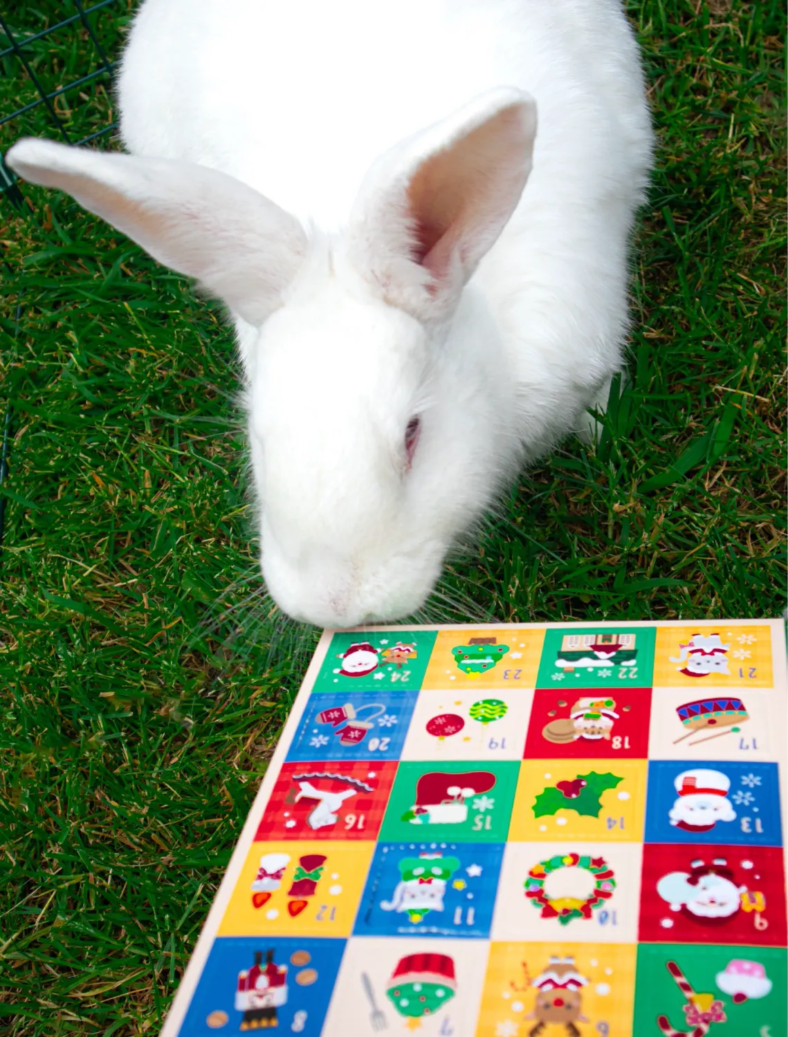 Christmas Advent Calendar