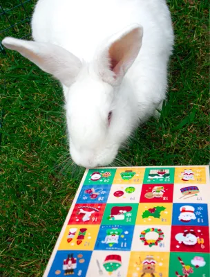 Christmas Advent Calendar