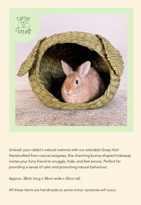 Carrot Cottage Range from Christchurch Rabbit Rescue
