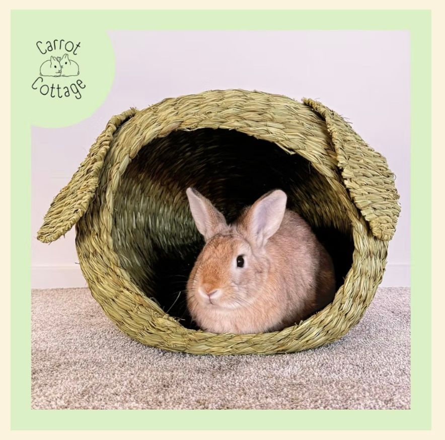Carrot Cottage Range from Christchurch Rabbit Rescue