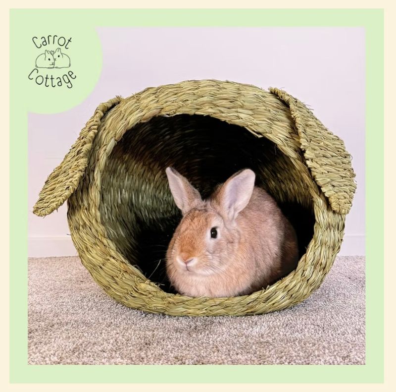 Carrot Cottage Range from Christchurch Rabbit Rescue