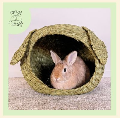 Carrot Cottage Range from Christchurch Rabbit Rescue