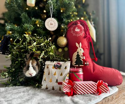 Rabbit Rescue Christmas Box - Standard