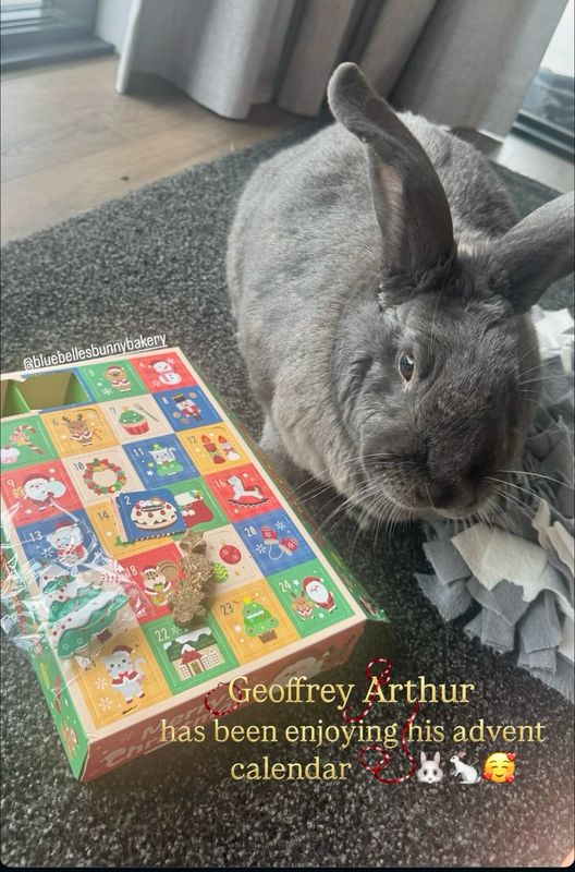 Christmas Advent Calendar