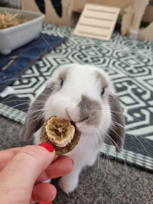 16 Banana Waffles - 110g