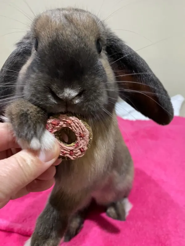 16 Iced Doughnuts 115g