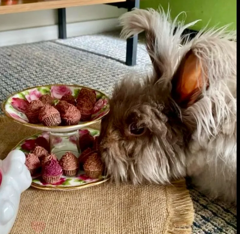 16 Frosted Mini Cupcakes - 95g