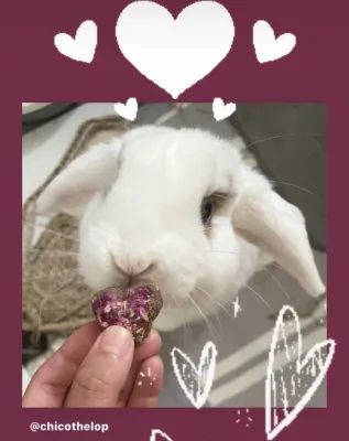 Rose Petal Heart Cookies - Valentines Special Edition