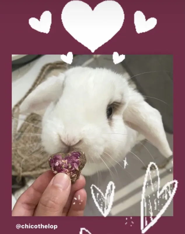 Rose Petal Heart Cookies - Valentines Special Edition