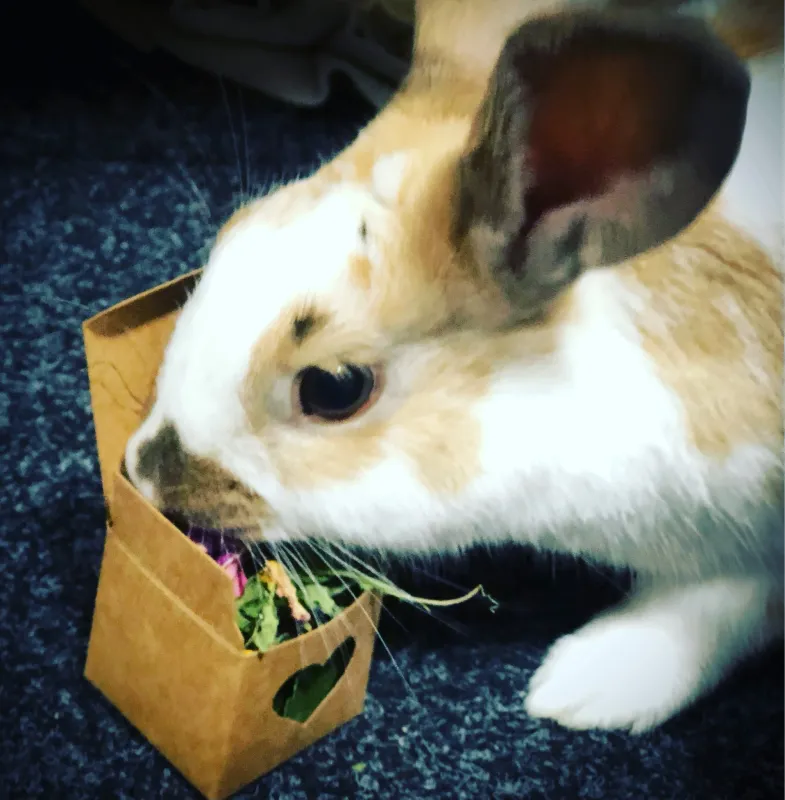 Mini Box of Sprinkles