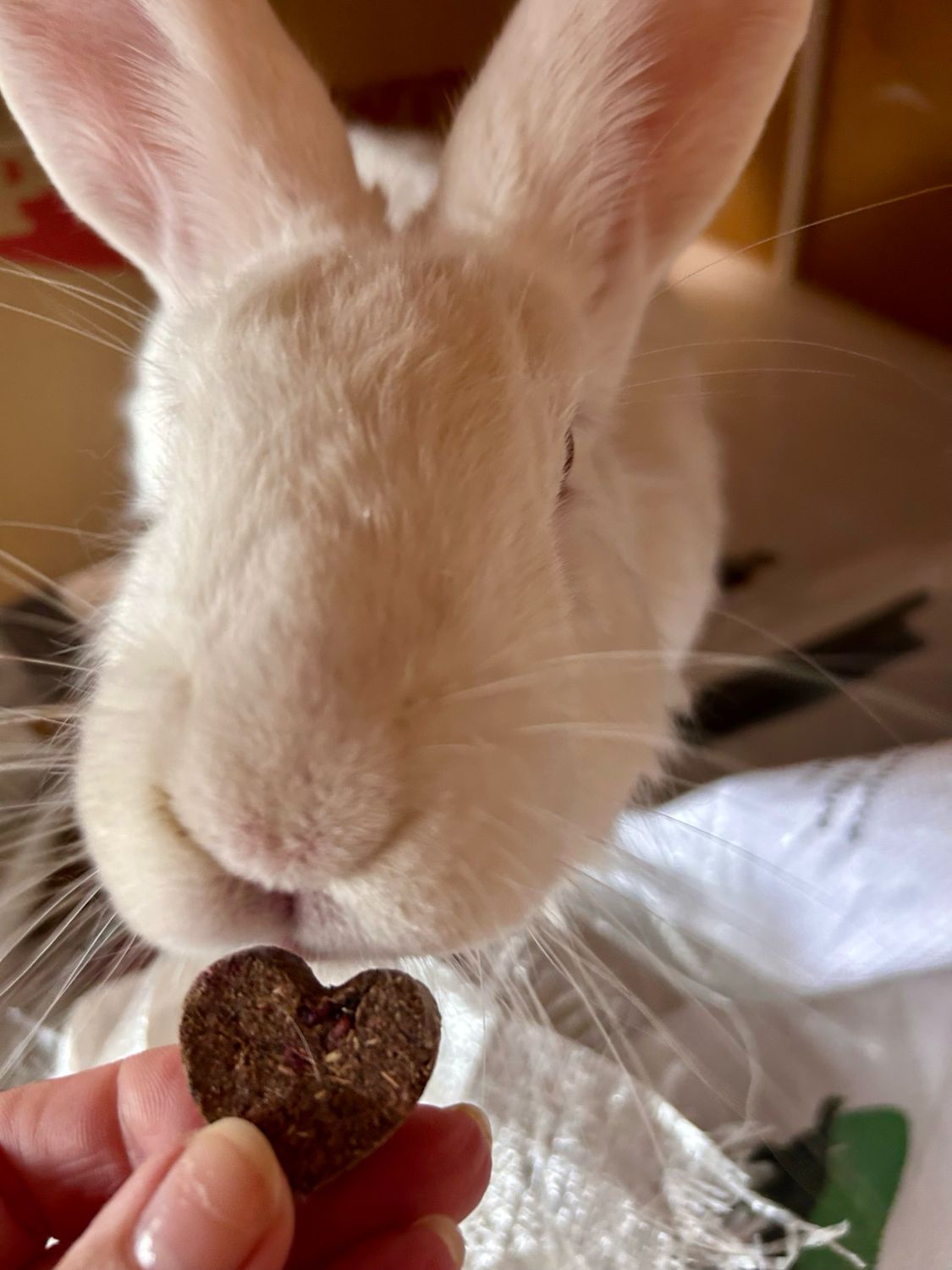 20 Valentines Beetroot Berry Brownie Hearts 115g