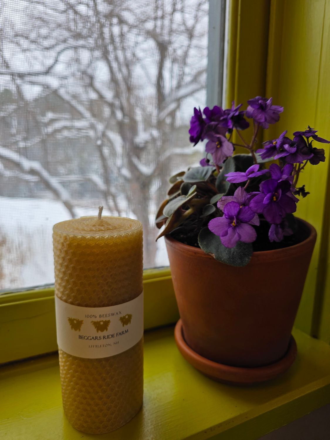 Short Wide Beeswax Candle