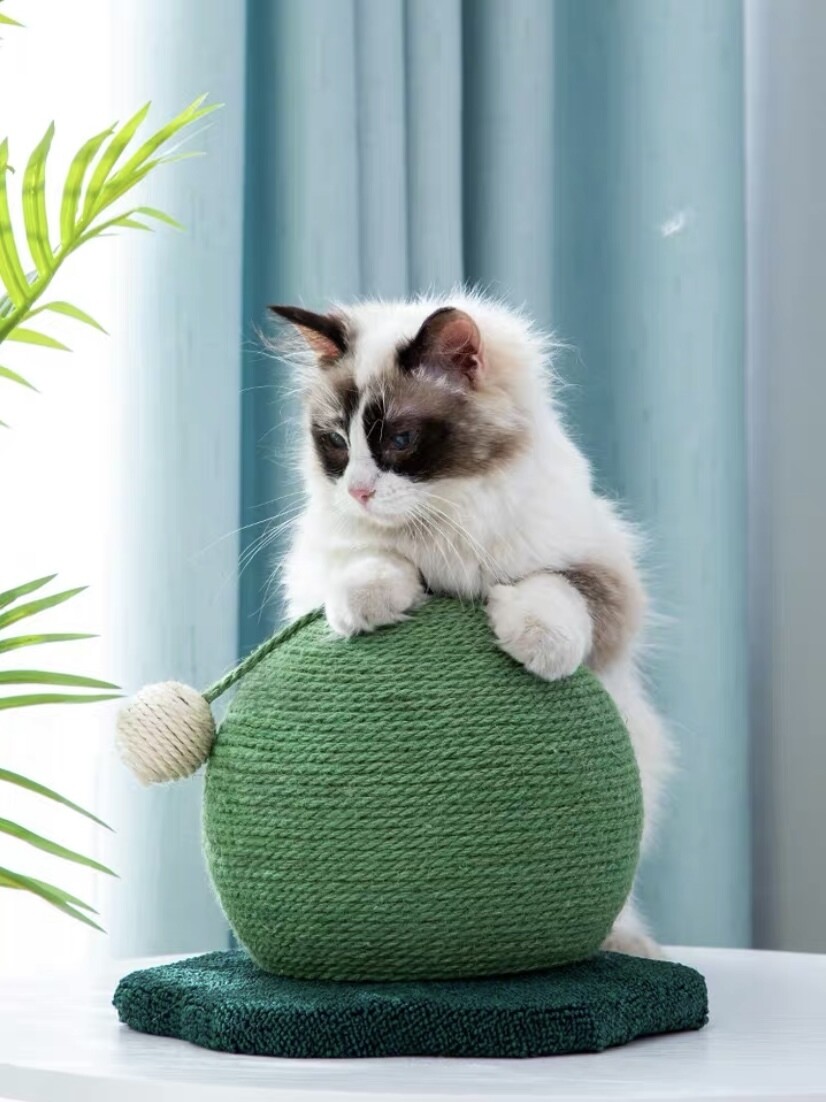 Ball cactus cat scratcher 