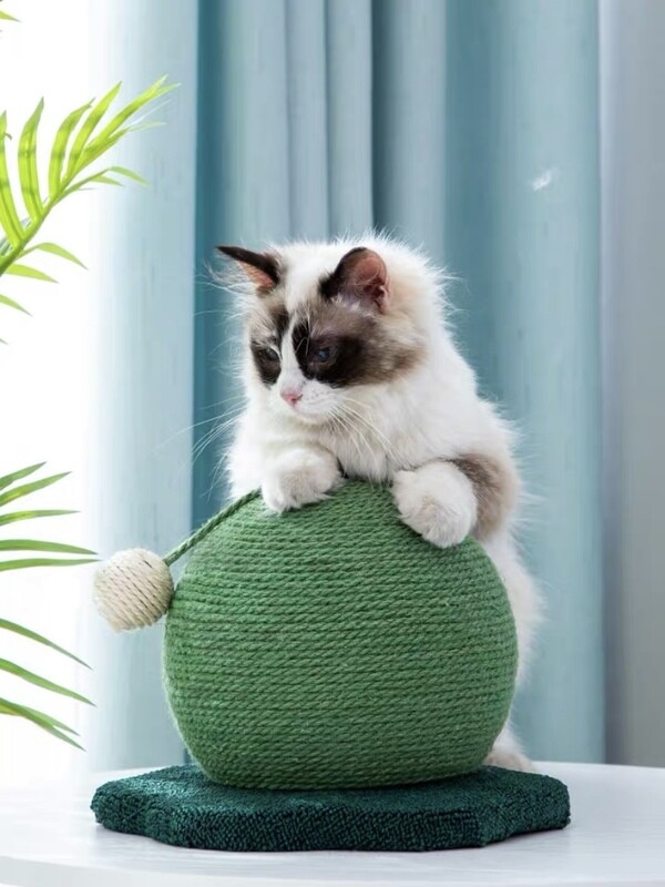 Ball cactus cat scratcher 