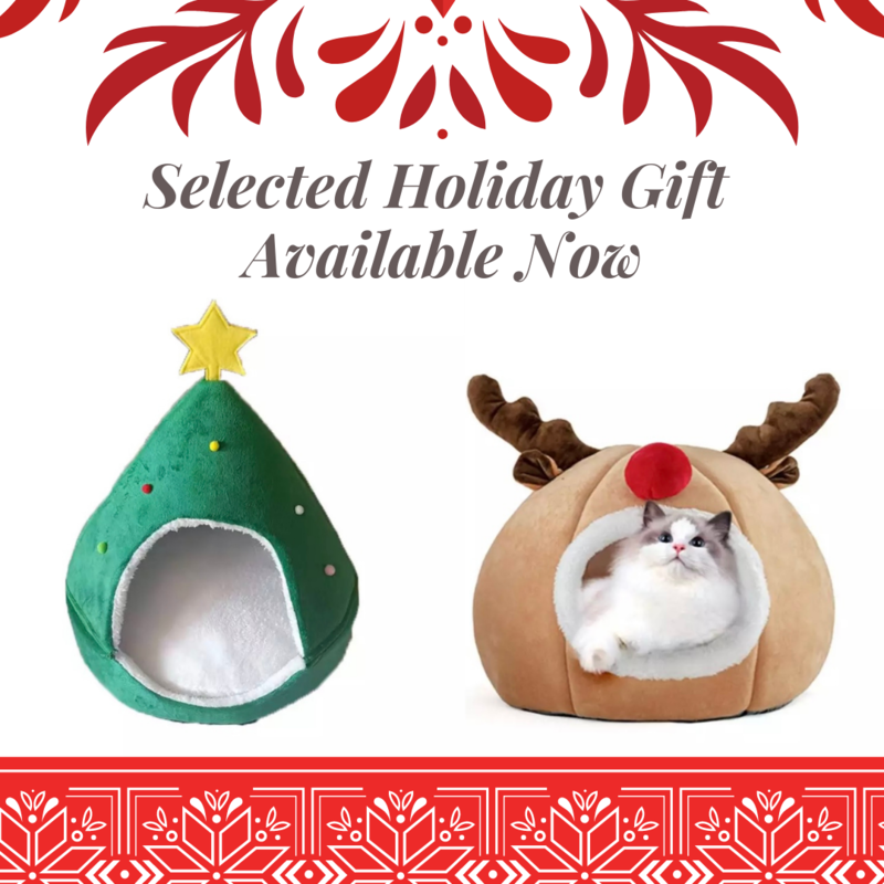 Selected Christmas Gift