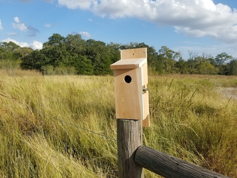 Bluebird Nesting Box