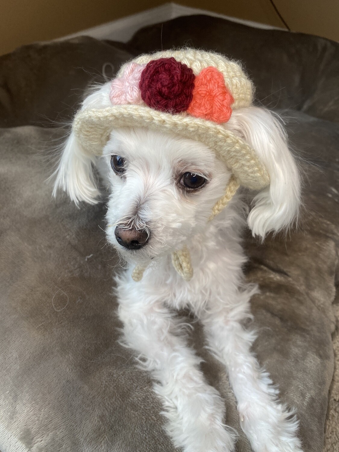 Flower Fur Baby Hat