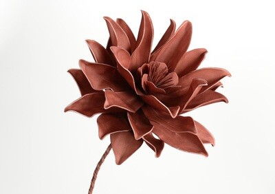 Fleur pana terracotta H84