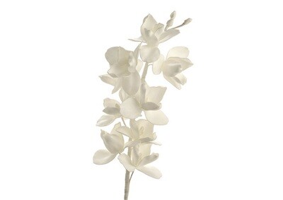 Tige orchidée BLC H107