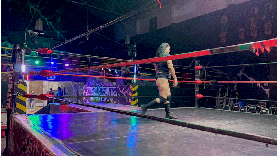 2025-12-11 JADE VS VENUS: THE WALK THAT SETS THE CHALLENGE (VIDEO)