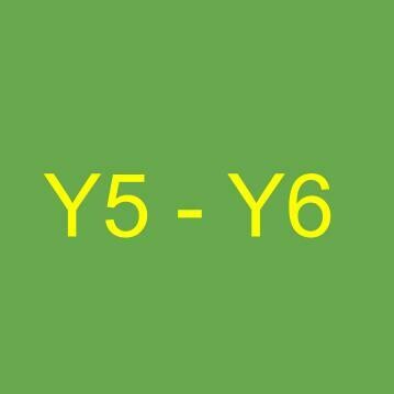 Upper Primary Years (Y5 - Y6)