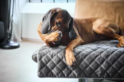 Matta LUX Oxford Stone Matta LUX Oxford Stone