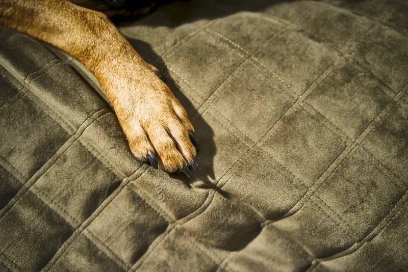 Matta LUX Oxford Olive