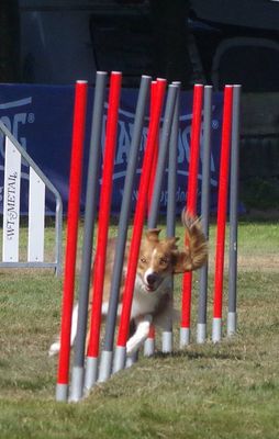 Slalom