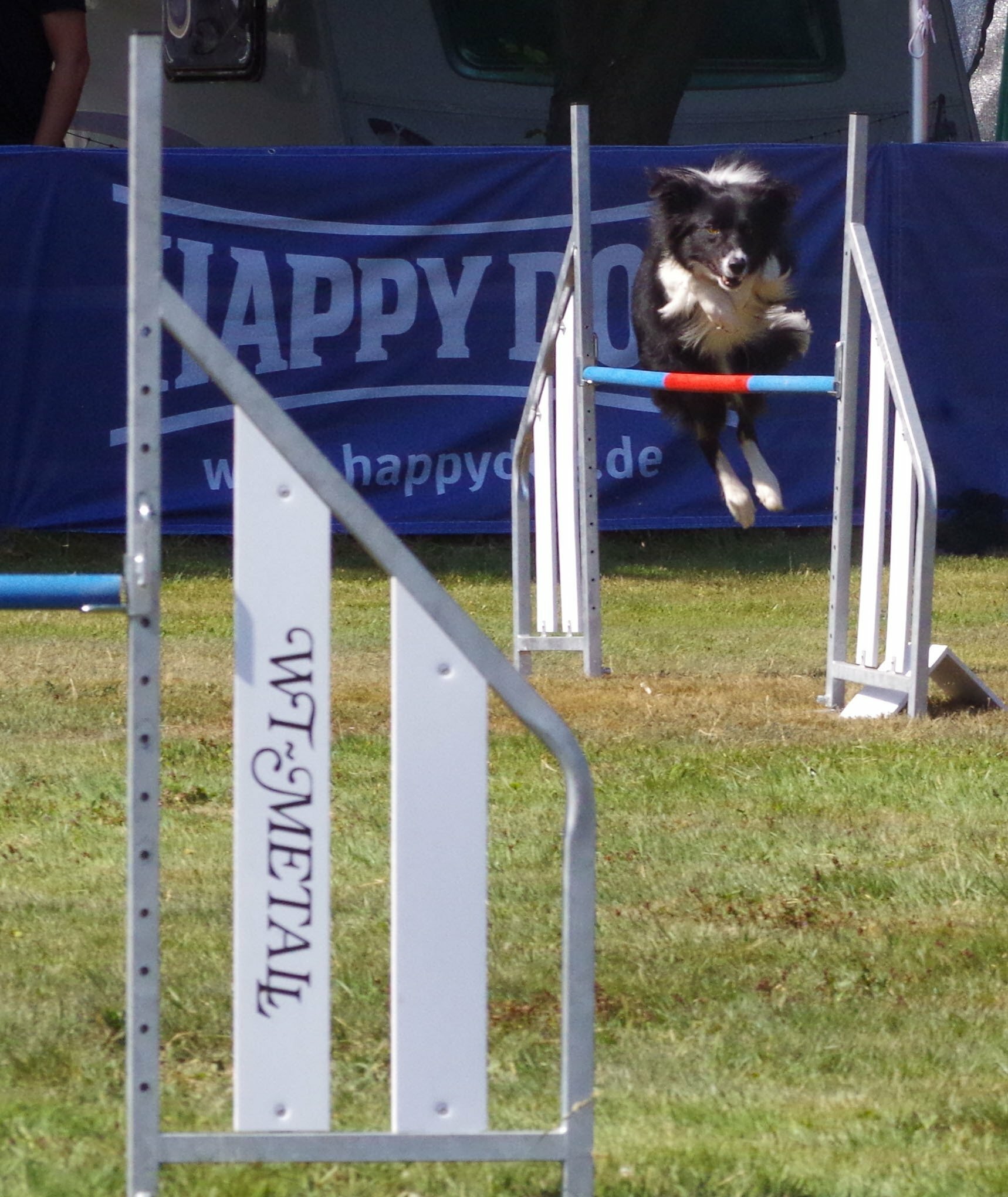 Hopphinder med bom