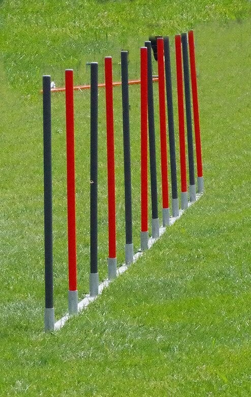 Slalom Slalom