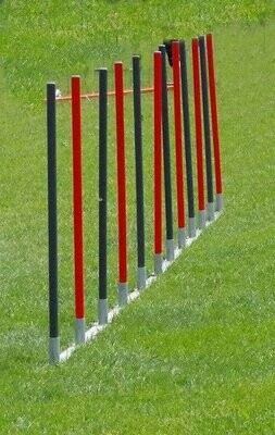Slalom Slalom
