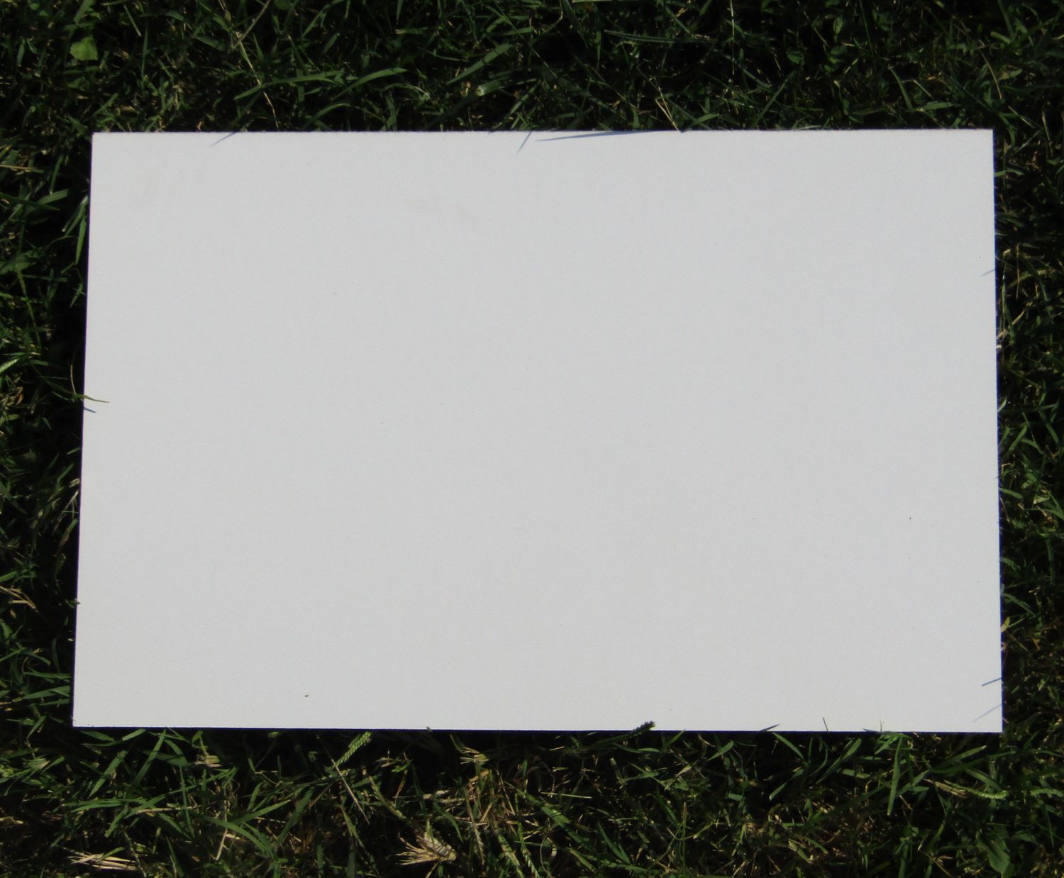 Custom Cuts - Board Template