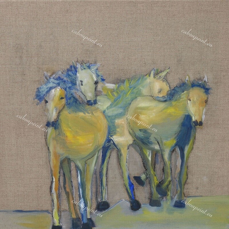 Camarguais   huile sur toile lin  50 x 50
