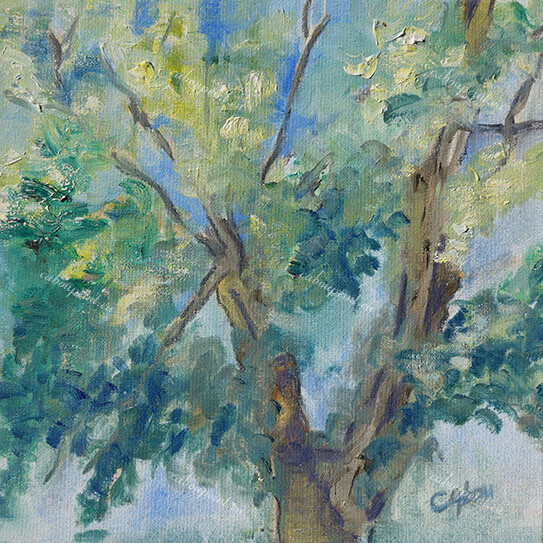 Arbre feuillu   huile sur toile  30 x 30