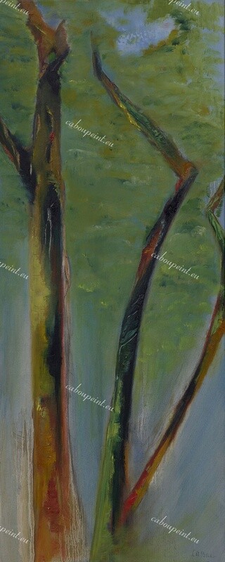 Pinède   huile sur toile  80 x 40