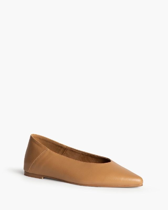 Bailarina camel Bailarina camel