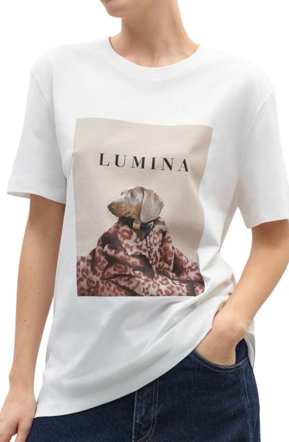 Camiseta teckel Lumina