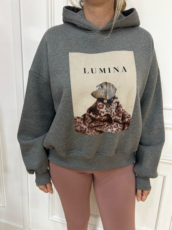 Sudadera teckel Lumina Sudadera teckel Lumina