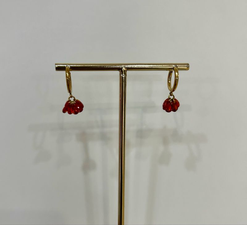 Pendientes acero Eugenia coral