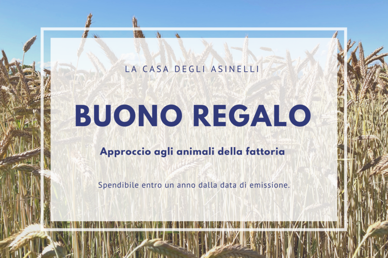 Buono regalo