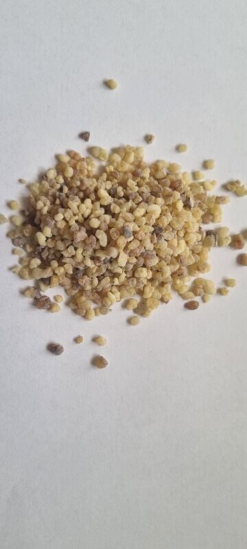 Weihrauch aus  Eritrea - Olibanum - 100gr.