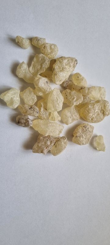 Dammarharz rein, 100% Natur 100gr.