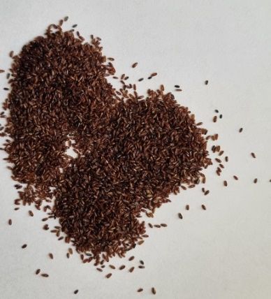 Flohsamen schwarz ganz 1.000gr